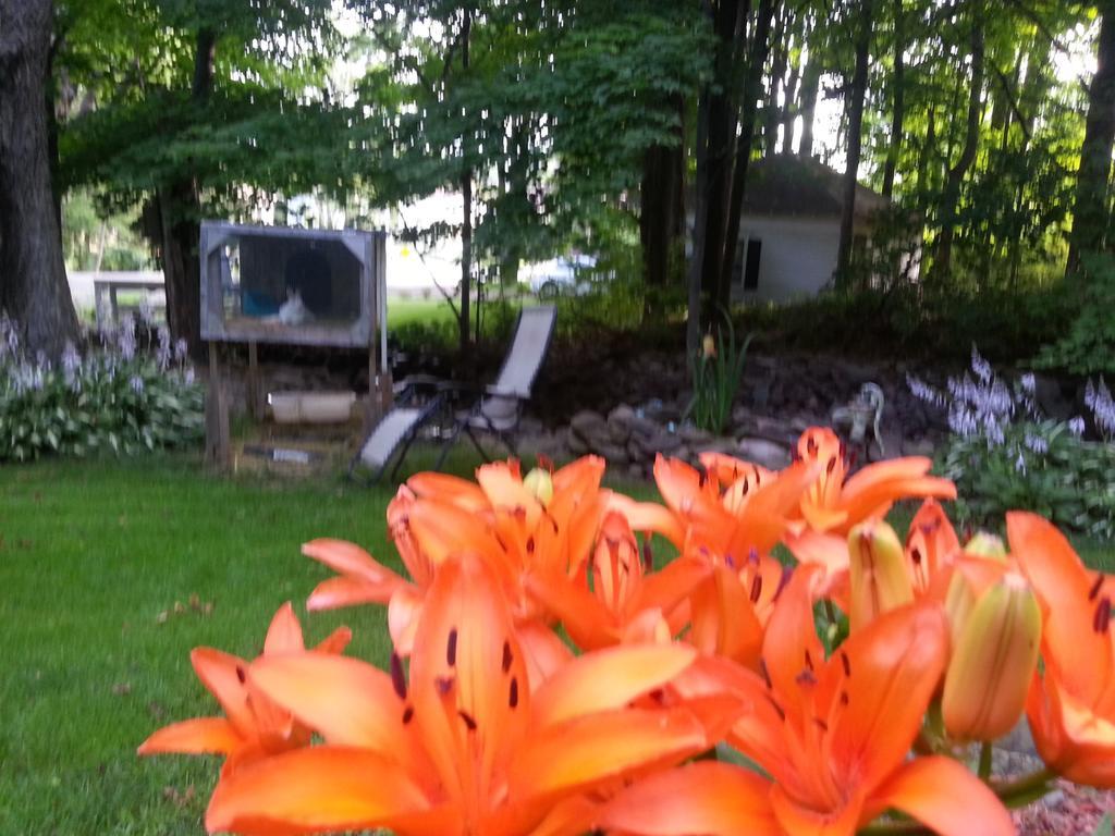 Kountry Living Bed And Breakfast Oneonta Eksteriør bilde